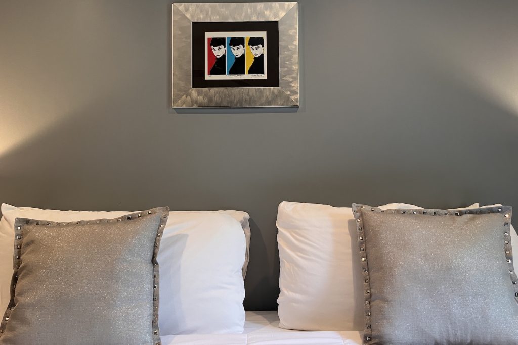 Stardust Retro Retreat - A Mid-Century Modern vacation rental in Coleman, Texas - 3 bedrooms on 2 acres